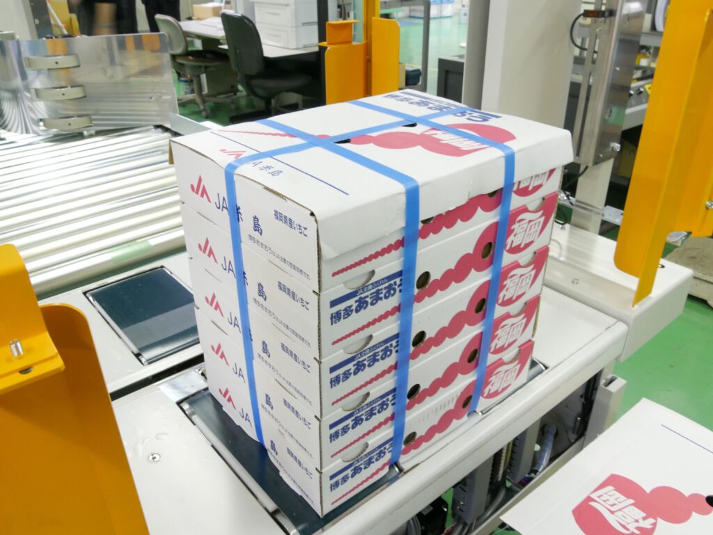 ナイガイ株式会社のシステムライン機